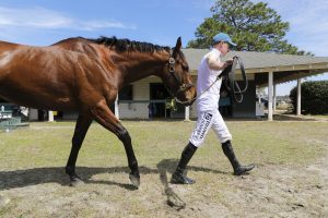 Carolina Cup, horse, Make a Stand, Graham Watters
