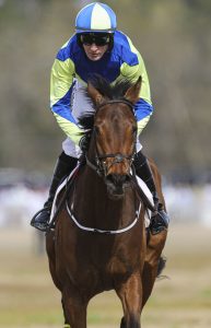 Carolina Cup, Graham Watters, Ghost Lighter