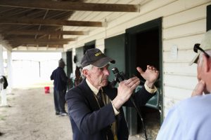 Carolina cup, horses