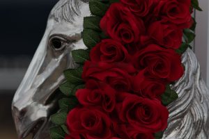 Carolina cup, tailgating